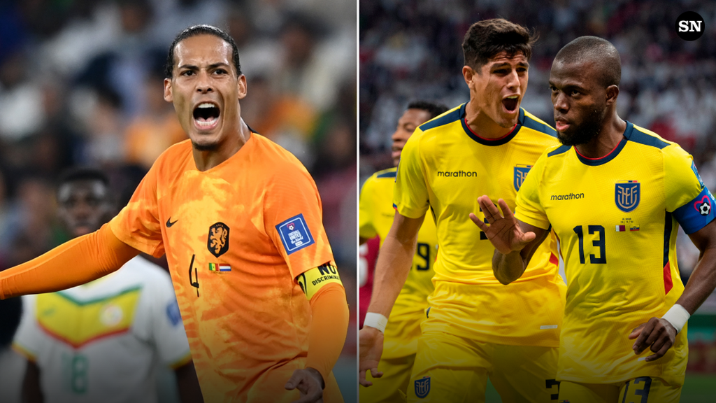 Trực tiếp Hà Lan vs Ecuador lúc 23h ngày 25/11, bảng A World Cup 2022