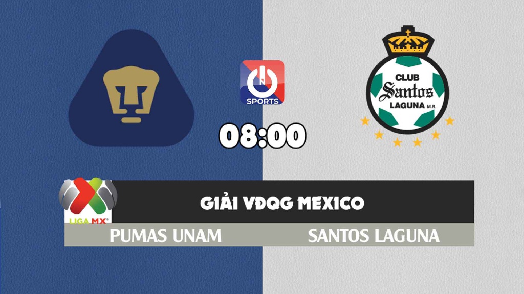 Nhận định, soi kèo trận Pumas UNAM vs Santos Laguna, 08h00 ngày 5/11